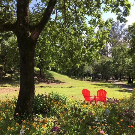 Amitabha Wine Country Cottage Santa Rosa Εξωτερικό φωτογραφία