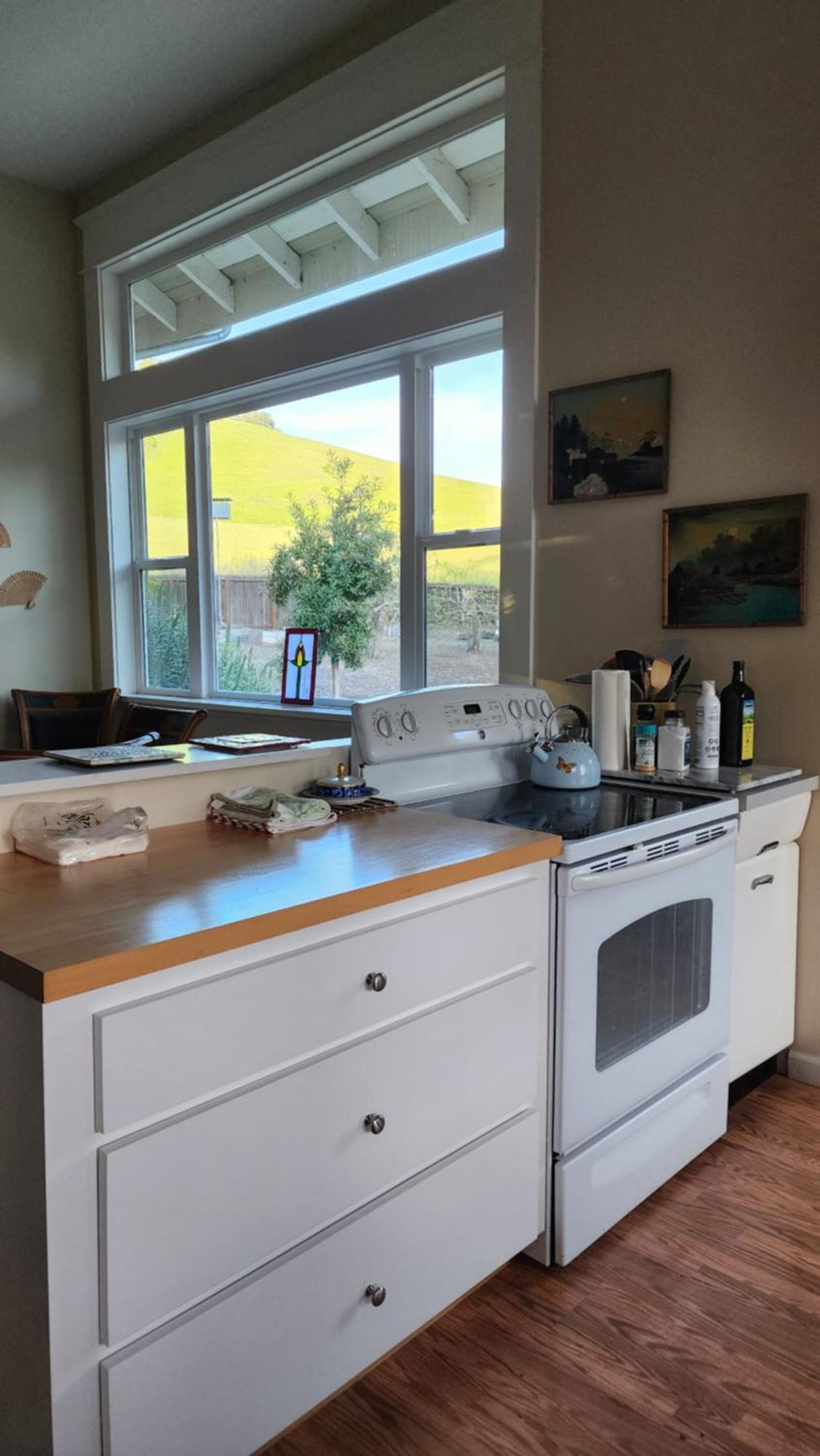 Amitabha Wine Country Cottage Santa Rosa Εξωτερικό φωτογραφία