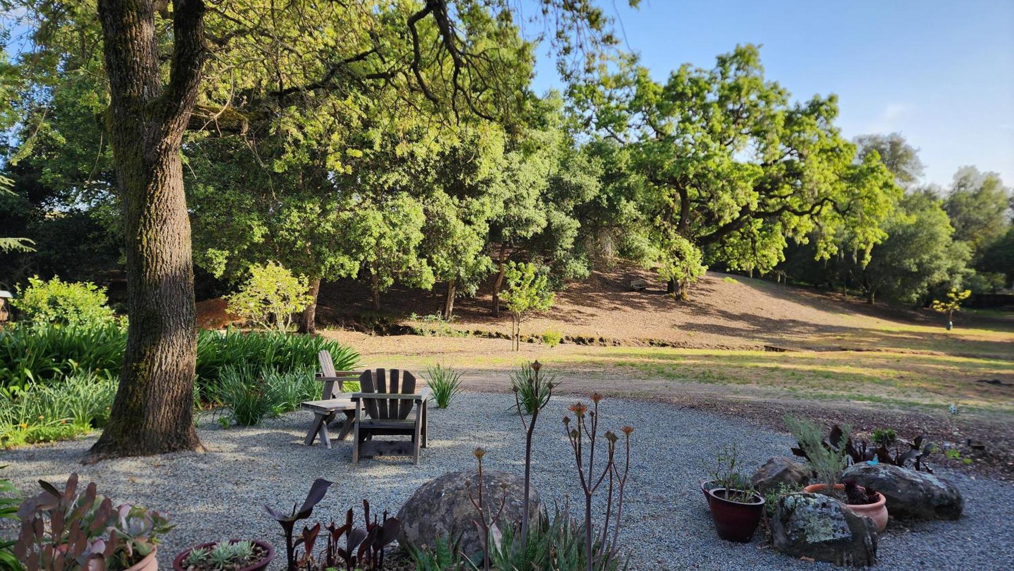 Amitabha Wine Country Cottage Santa Rosa Εξωτερικό φωτογραφία