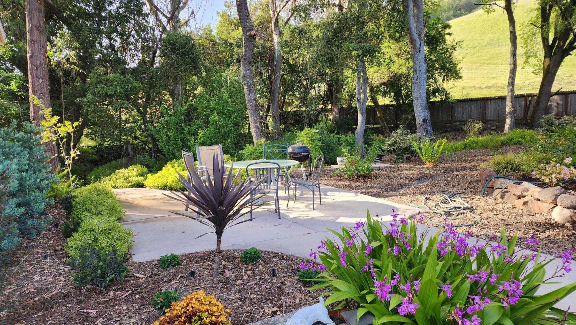 Amitabha Wine Country Cottage Santa Rosa Εξωτερικό φωτογραφία