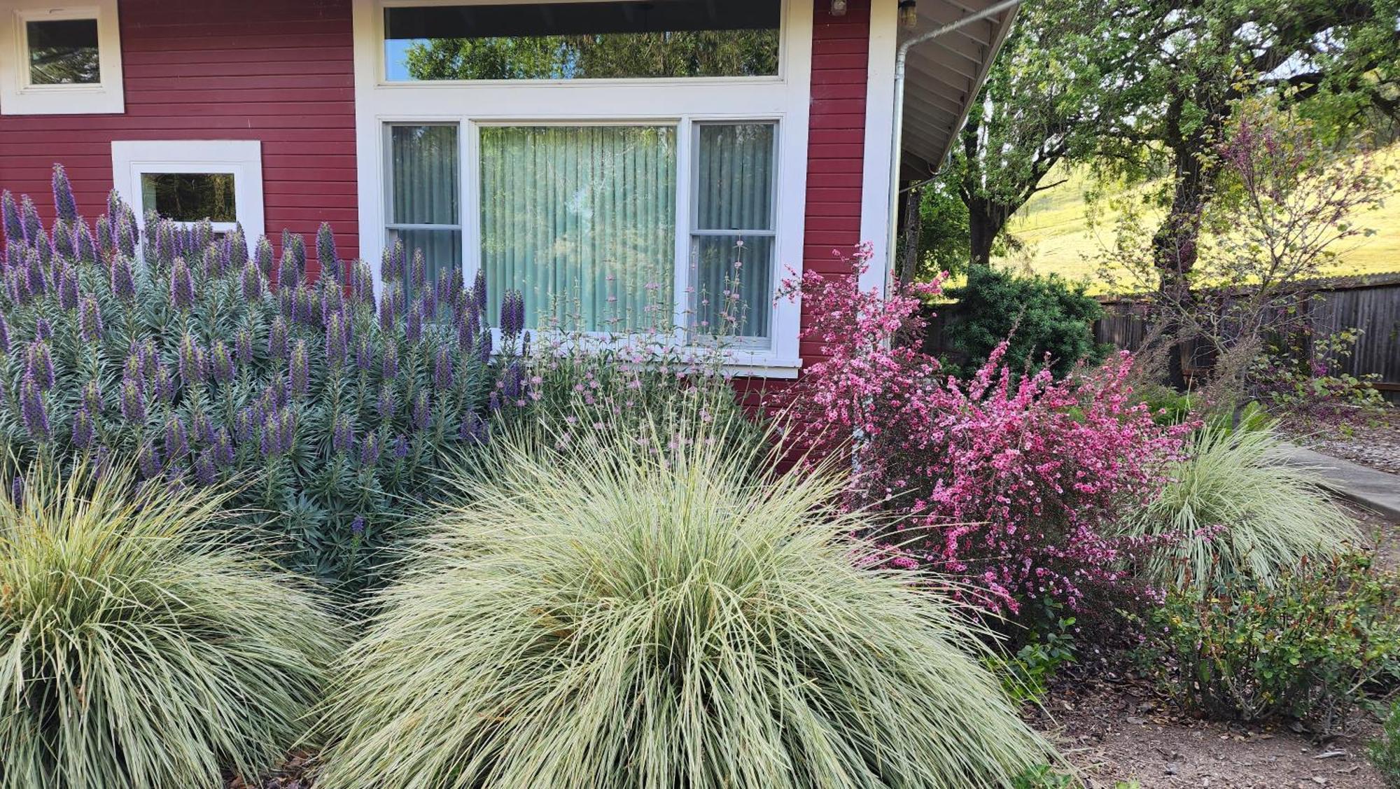 Amitabha Wine Country Cottage Santa Rosa Εξωτερικό φωτογραφία