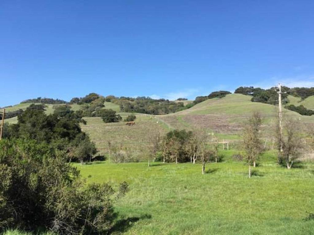Amitabha Wine Country Cottage Santa Rosa Εξωτερικό φωτογραφία